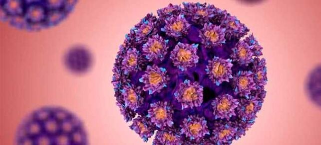 HPV - humani papiloma virus